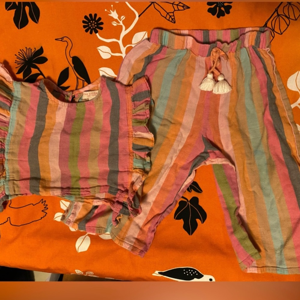 ISO Pink Chicken Striped Outfit